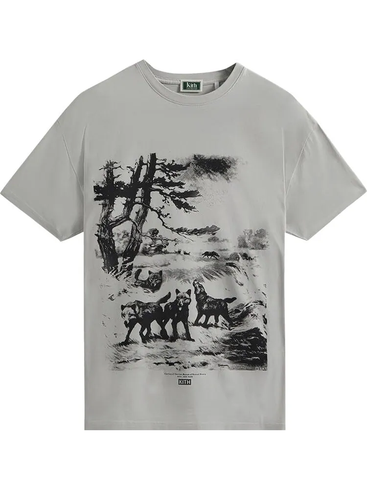 Футболка Kith For AMNH Wolves Vintage Tee 'Concrete' — изображение 1 из 2, серый