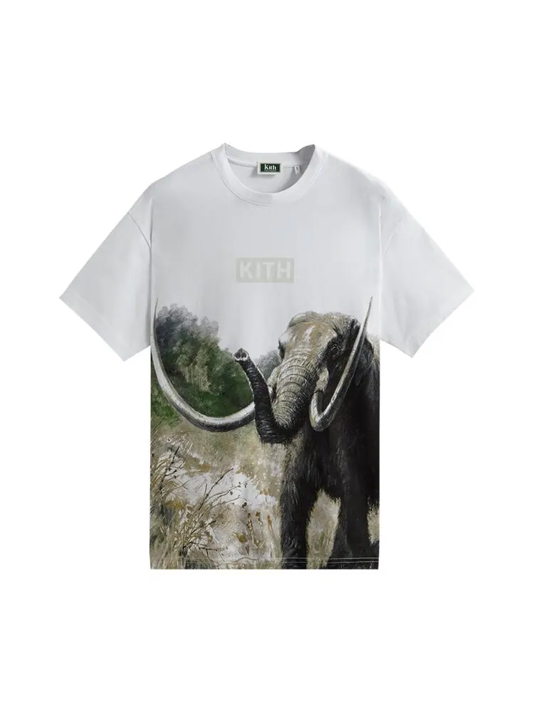Футболка Kith For AMNH Late Mammals Vintage Tee 'White' — изображение 1 из 2, белый