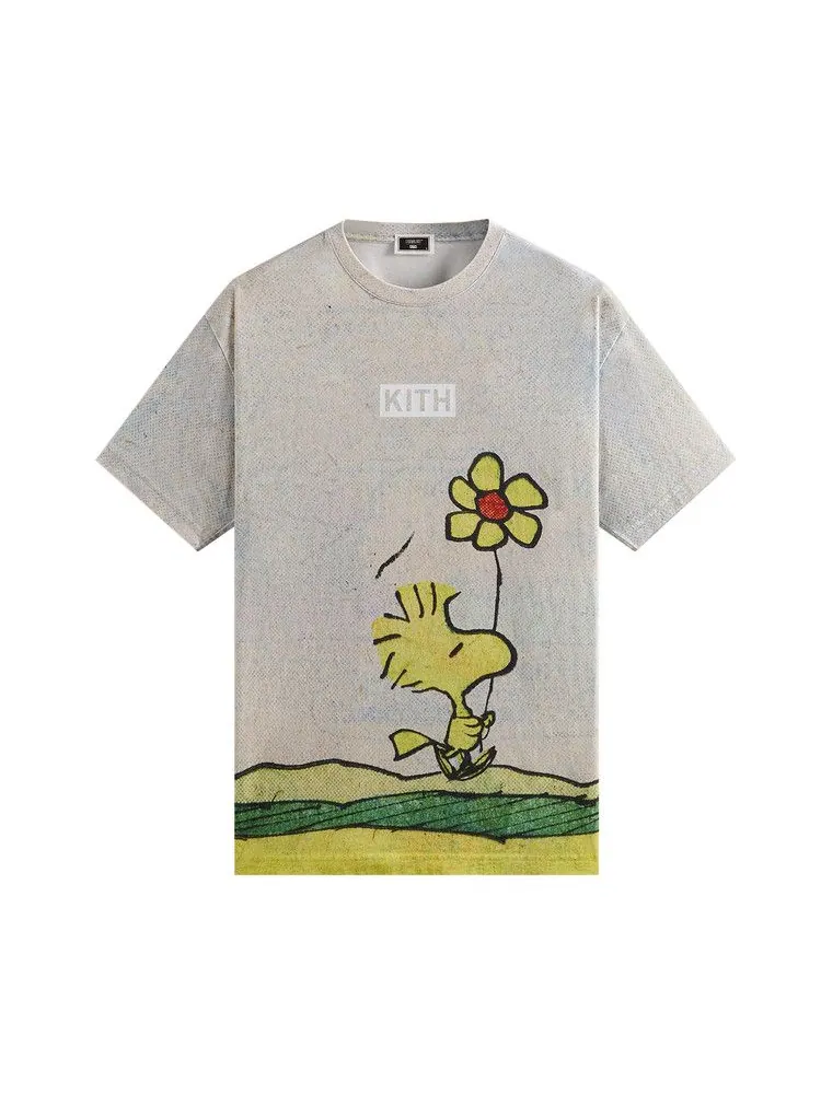 Футболка Kith For Peanuts Woodstock Comic Vintage Tee — изображение 1 из 1, мел
