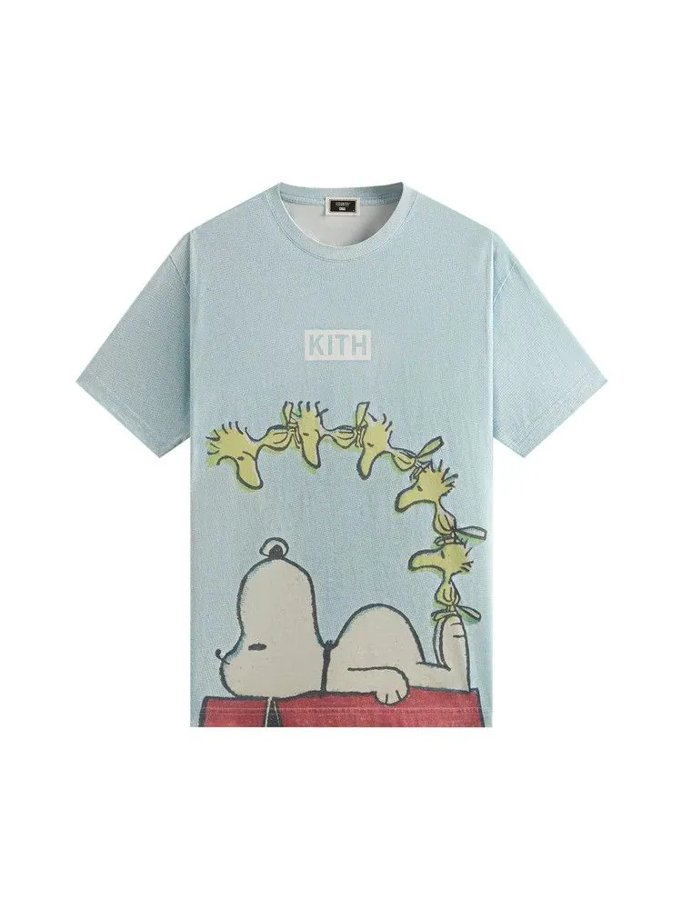 Футболка Kith For Peanuts Woodstock Doghouse Comic Vintage Tee — изображение 1 из 1, блестящий