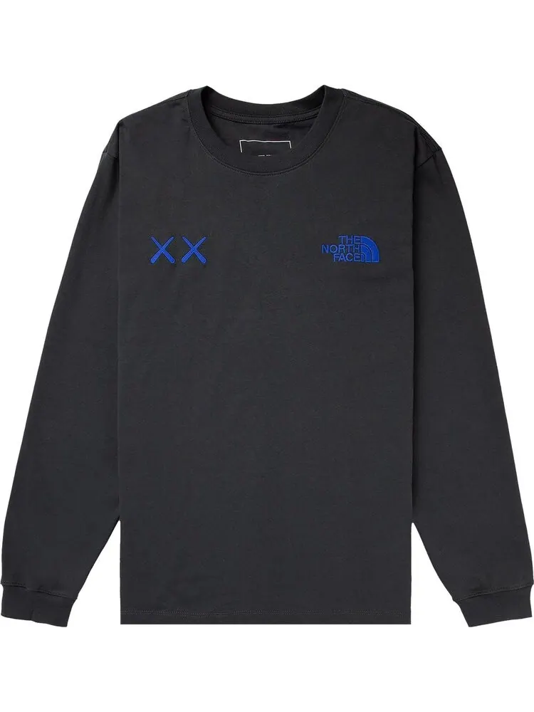 Лонгслив The North Face x KAWS Long-Sleeve Tee 'Asphalt Grey' — изображение 1 из 1, серый