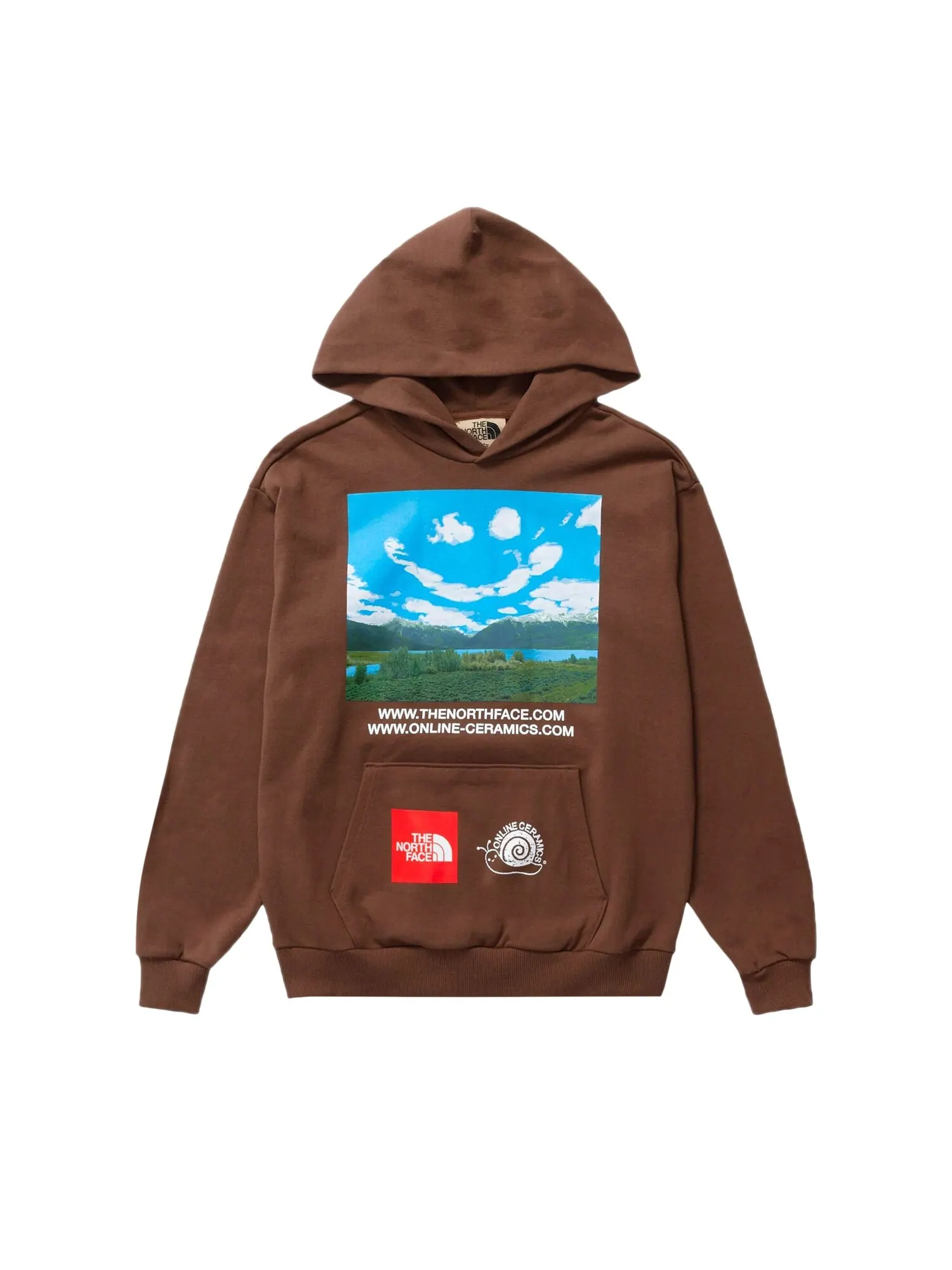 Худи The North Face x Online Ceramics — изображение 1 из 1, коричневый