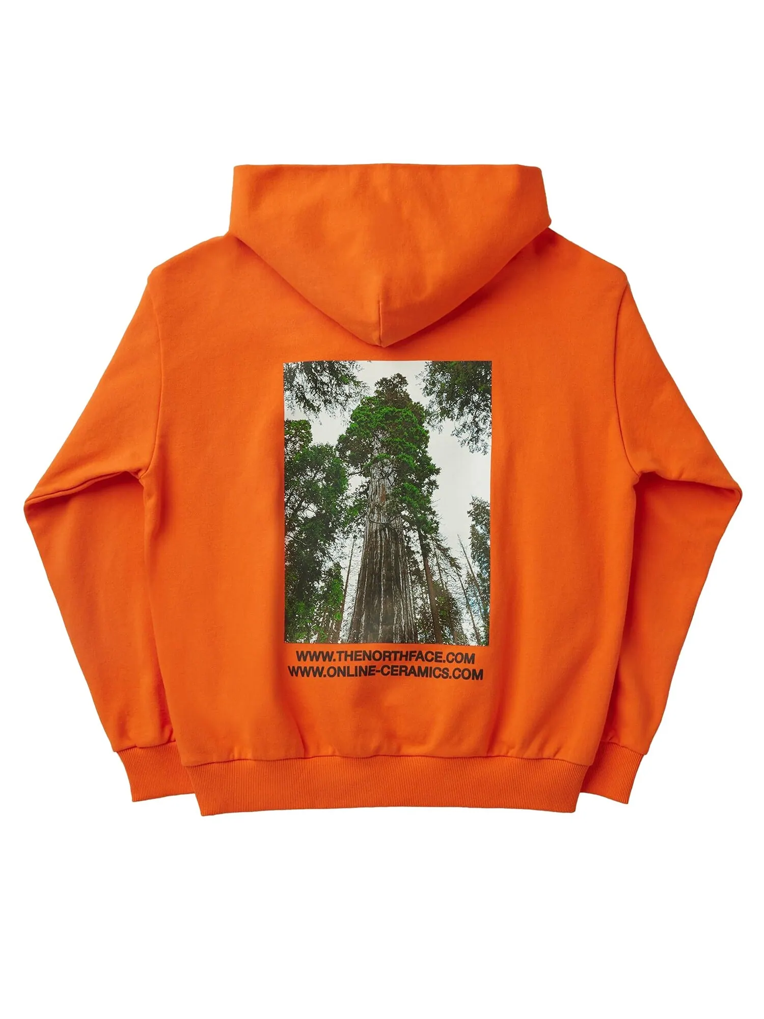 Худи The North Face x Online Ceramics — изображение 2 из 2, красный