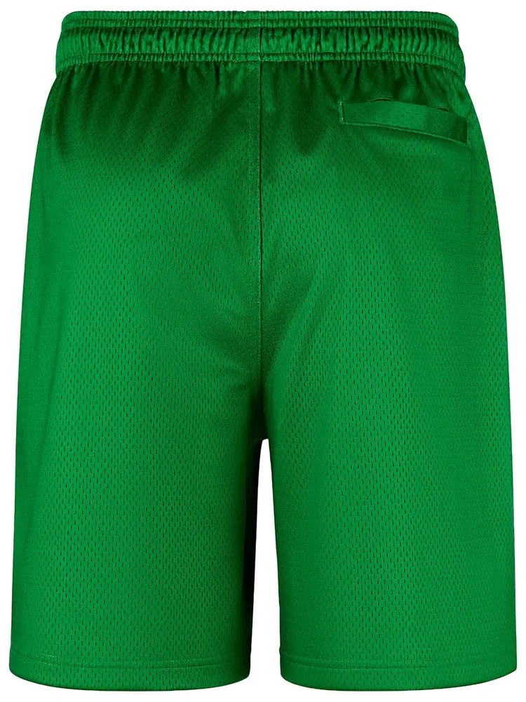 Шорты Nike x Class Trip x Grateful Ducks Mesh Shorts — изображение 2 из 2, зеленый