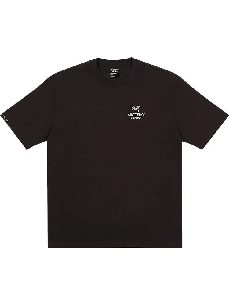 Футболка Palace x Arc'teryx T-Shirt 'Black' — изображение 1 из 2, черный