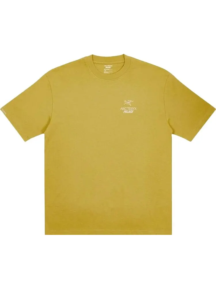 Футболка Palace x Arc'teryx T-Shirt 'Gold' — изображение 1 из 2, золото