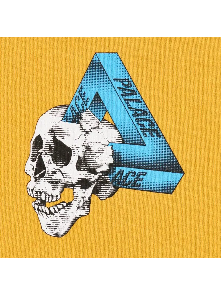 Толстовка Palace Tri-Crusher Hood 'Camel' — изображение 3 из 3, загар
