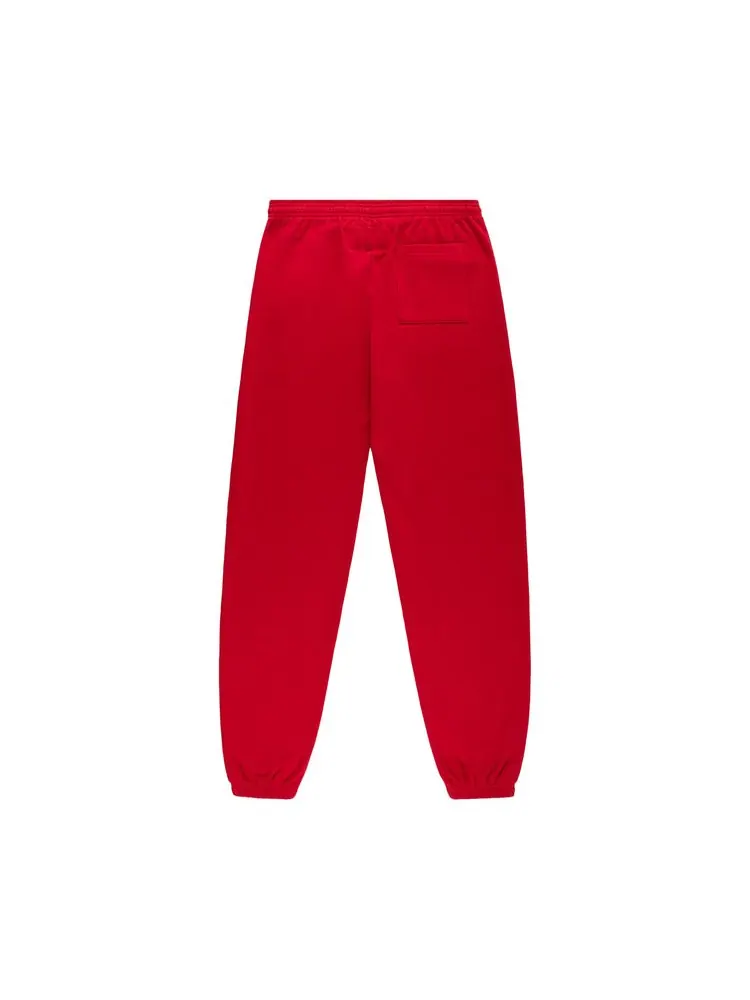 Спортивные брюки Sp5der Og Web V2 Sweatpant 'Red' — изображение 2 из 3, красный