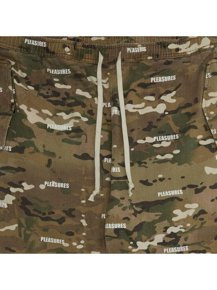 Брюки Pleasures Sensation Cargo Pant 'Camouflage' — изображение 3 из 3, мульти
