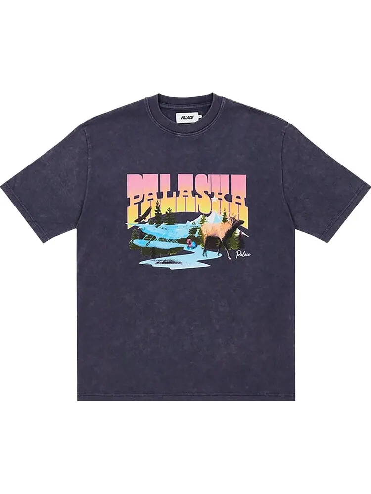 Футболка Palace Palaska Dye T-Shirt 'Purple' — изображение 1 из 1, фиолетовый