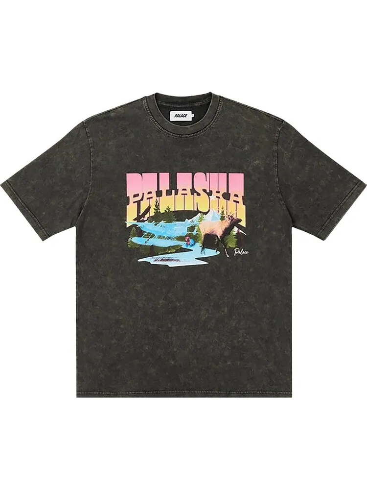 Футболка Palace Palaska Dye T-Shirt 'Black' — изображение 1 из 1, черный