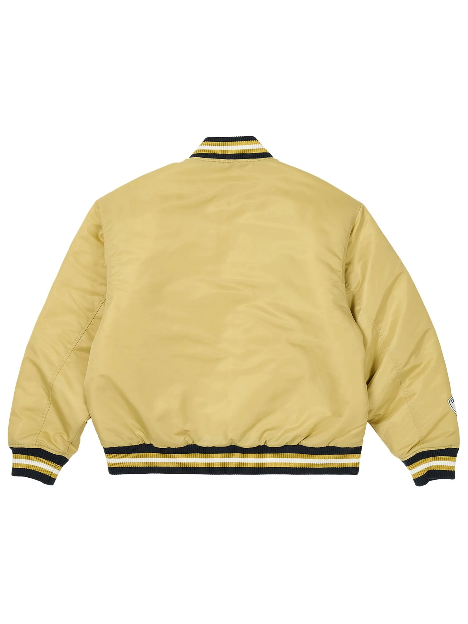 Palace Satin Куртка Arena Золотой — изображение 2 из 3