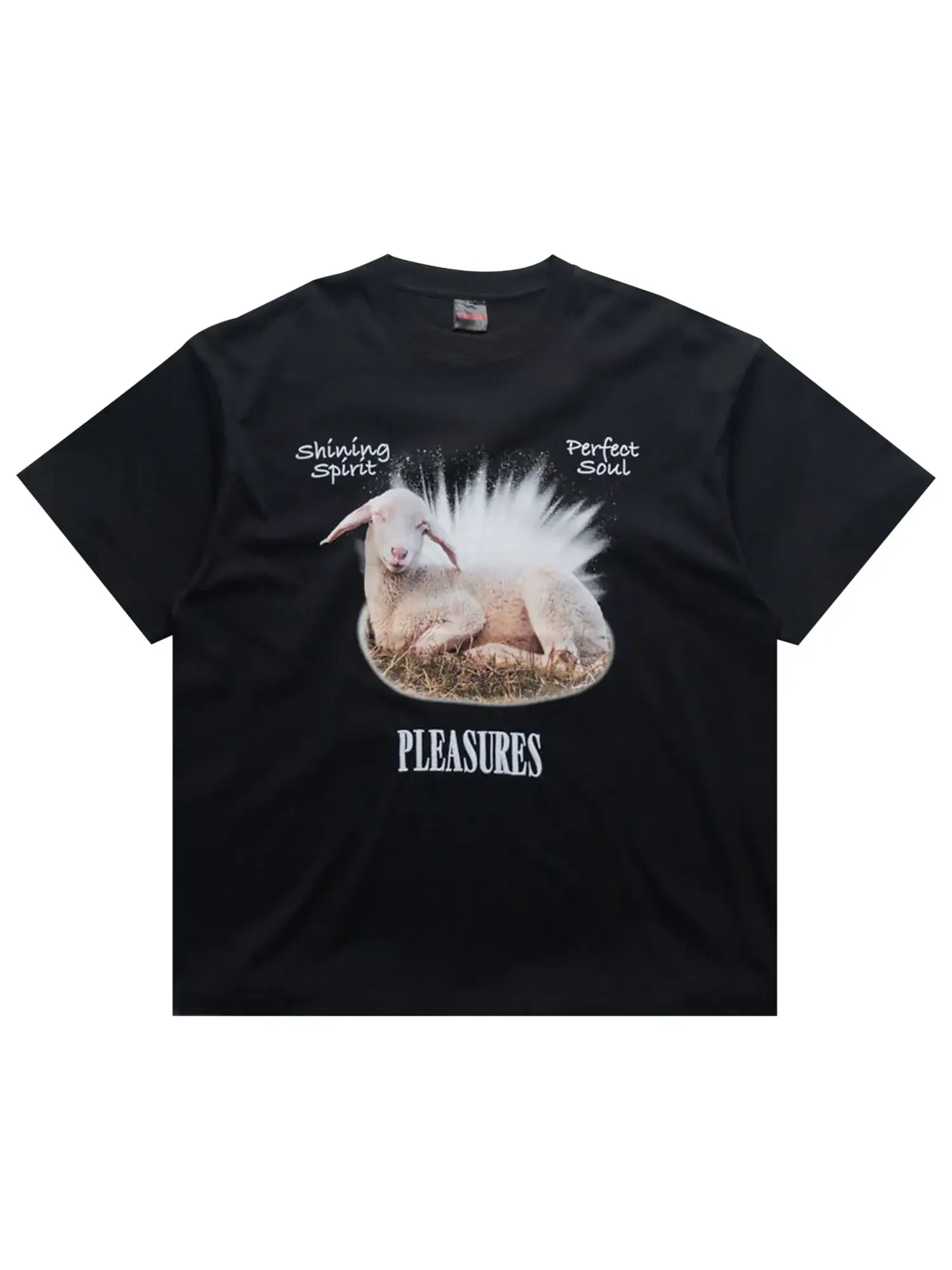 Футболка Pleasures Shine — изображение 1 из 1, черный