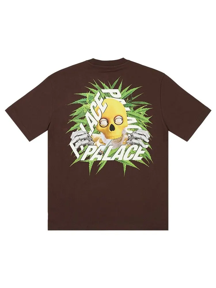 Футболка Palace Baked P-3 T-Shirt — изображение 2 из 2, коричневый