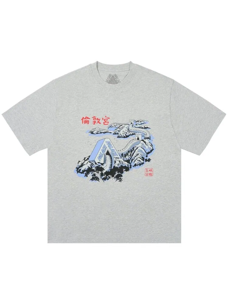 Футболка Palace Great Wall Of Tri-Na T-Shirt — изображение 1 из 1, серый
