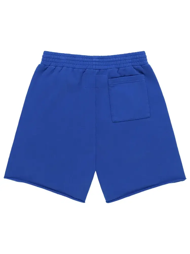 Спортивные шорты Sp5der Varsity Web Sweatshort — изображение 2 из 2, синий