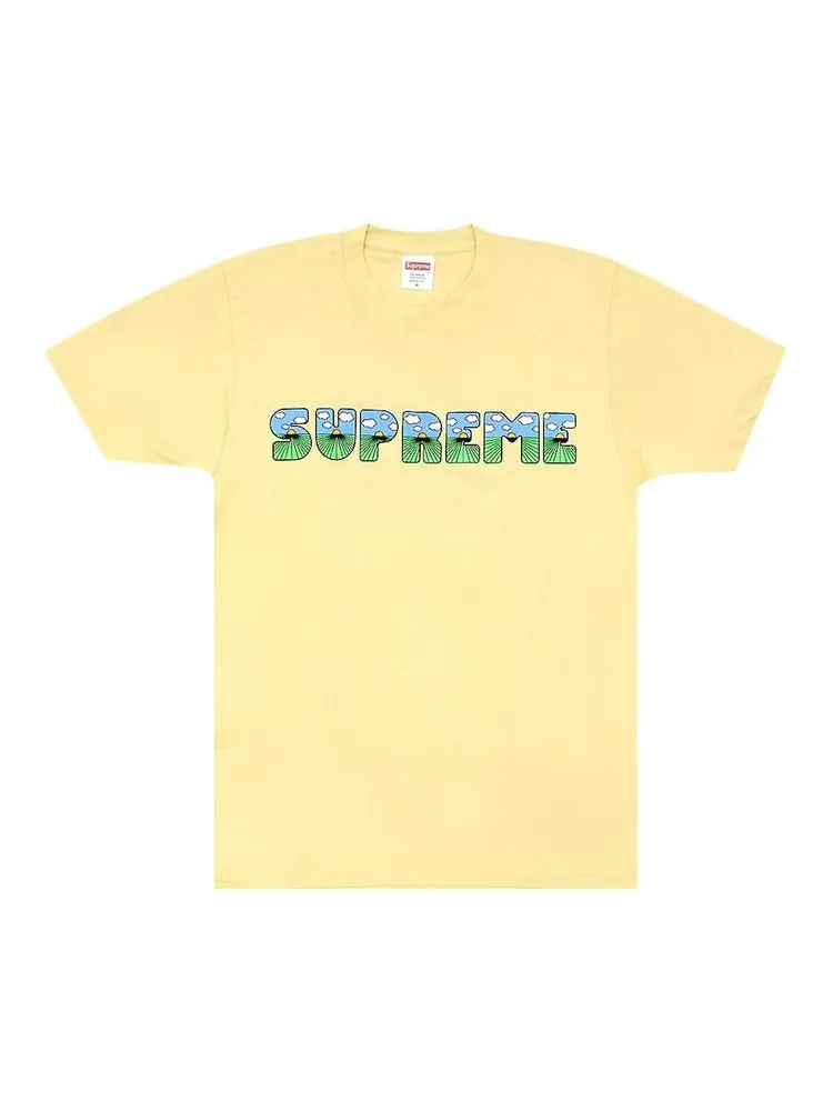 Футболка Supreme The Shit Tee — изображение 1 из 1, светлый желтый