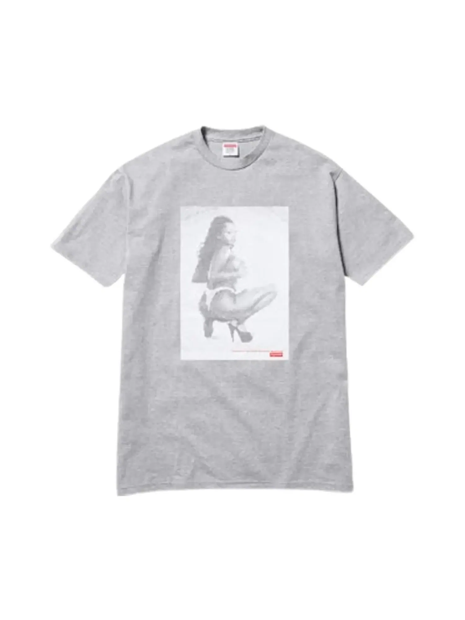 Футболка Supreme Digi Tee — изображение 1 из 1, серый