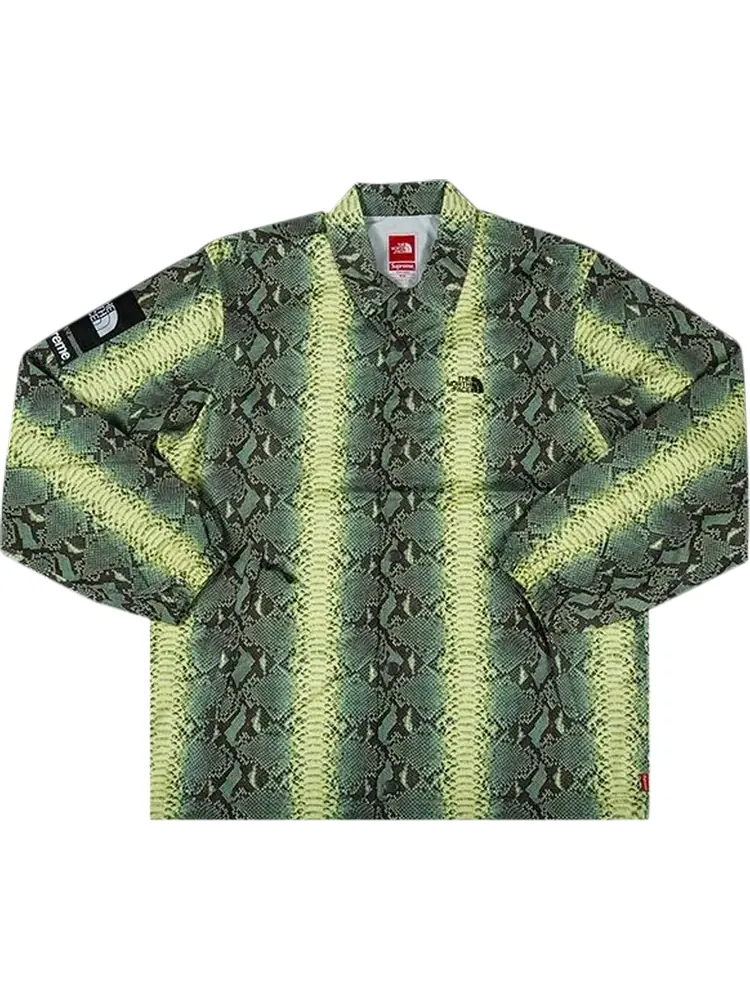 Куртка Supreme x The North Face Snakeskin Taped Seam Coaches Jacket 'Green' — изображение 1 из 1, зеленый