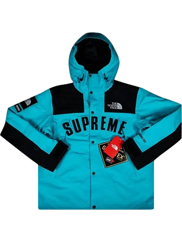 Парка Supreme x The North Face Arc Logo Mountain Parka 'Teal' — изображение 1 из 1, бирюзовый