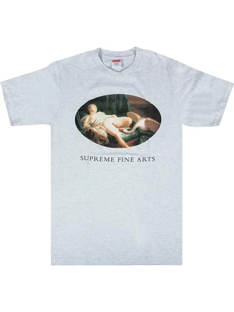 Футболка Supreme Leda And The Swan Tee Ash Grey — изображение 1 из 1, серый
