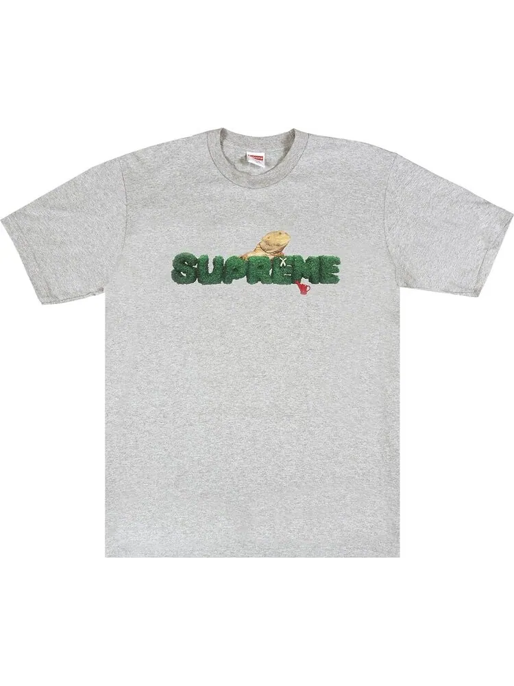 Футболка Supreme Lizard Tee 'Heather Grey' — изображение 1 из 1, серый