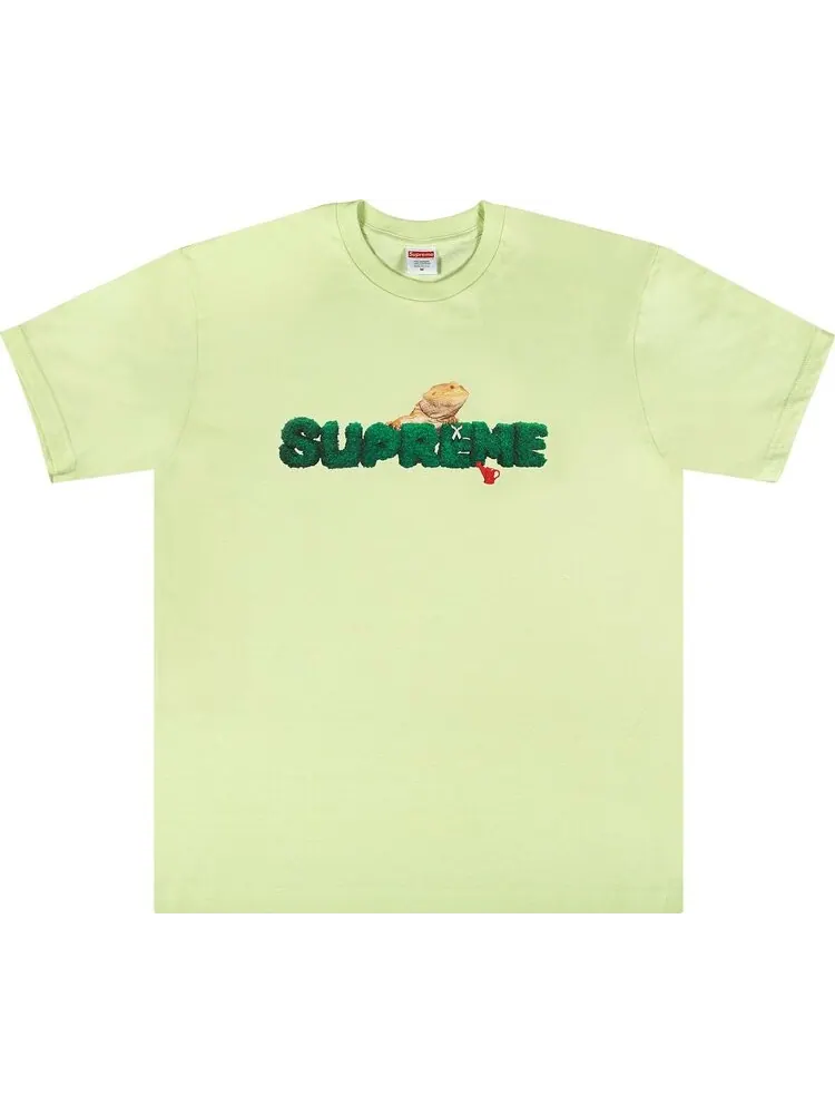 Футболка Supreme Lizard Tee 'Pale Mint' — изображение 1 из 1, зеленый