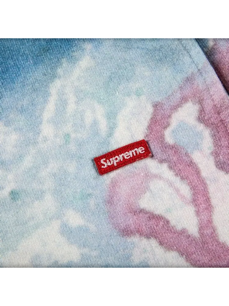 Спортивные шорты Supreme Small Box Sweatshort 'Watercolor Floral' — изображение 3 из 3, мульти
