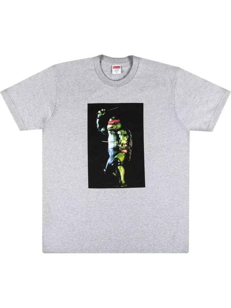 Футболка Supreme Raphael — изображение 1 из 2, серый