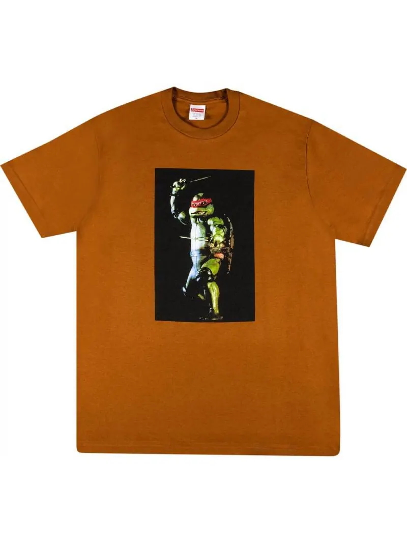 Футболка Supreme Raphael — изображение 1 из 2, коричневый