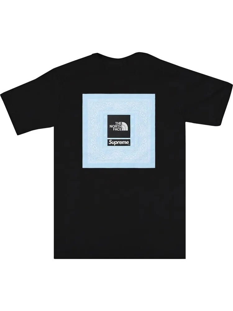 Футболка Supreme x The North Face Bandana Tee 'Black' — изображение 2 из 3, черный