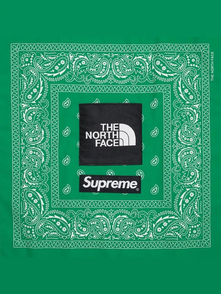 Футболка Supreme x The North Face Bandana Tee 'White' — изображение 3 из 3, белый