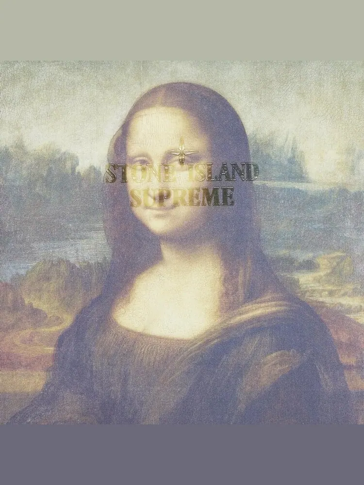 Футболка Supreme x Stone Island Mona Lisa — изображение 3 из 3, мульти