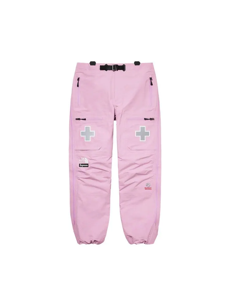Брюки Supreme x The North Face Summit Series Rescue Mountain Pant — изображение 1 из 2, светлый фиолетовый