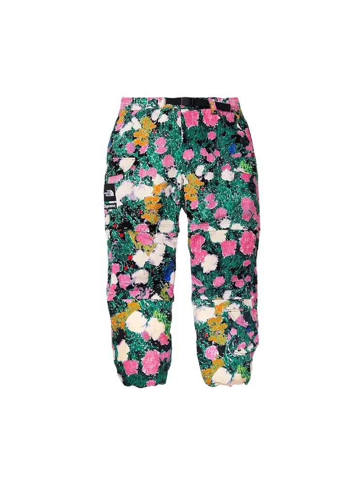 Брюки Supreme x The North Face Trekking Zip-Off Belted Pant — изображение 1 из 2, мульти
