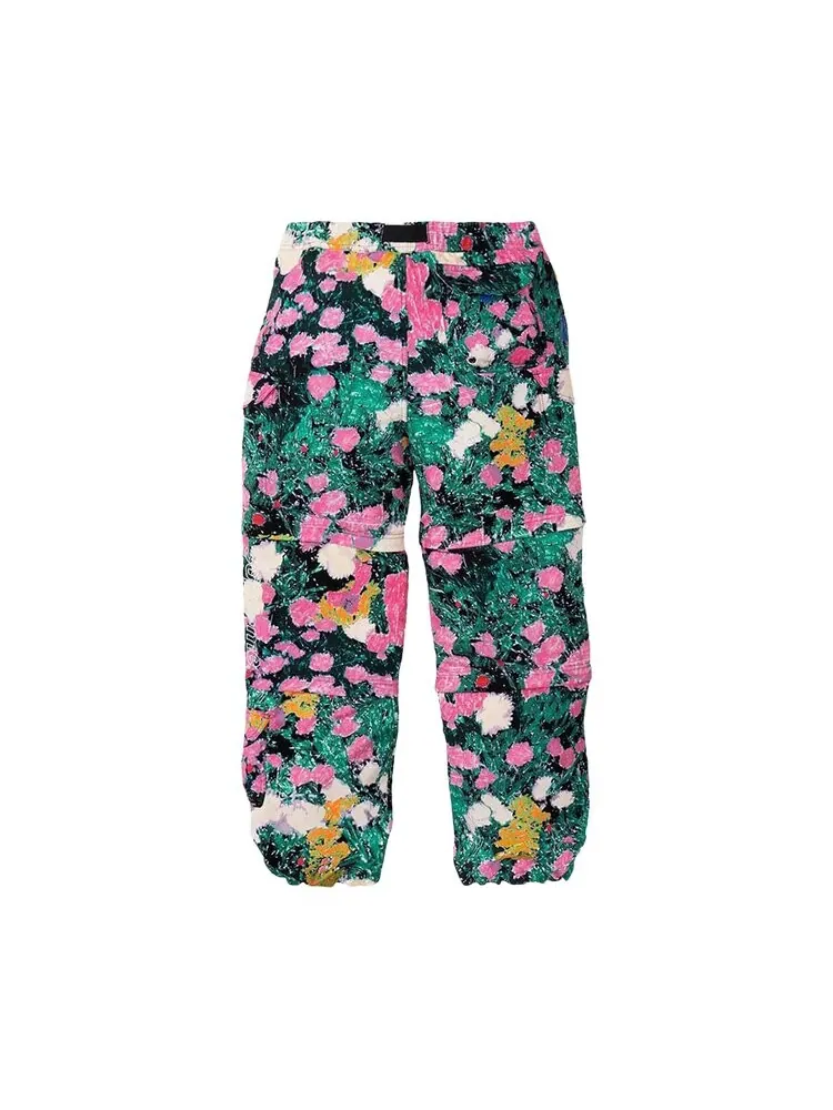 Брюки Supreme x The North Face Trekking Zip-Off Belted Pant — изображение 2 из 2, мульти