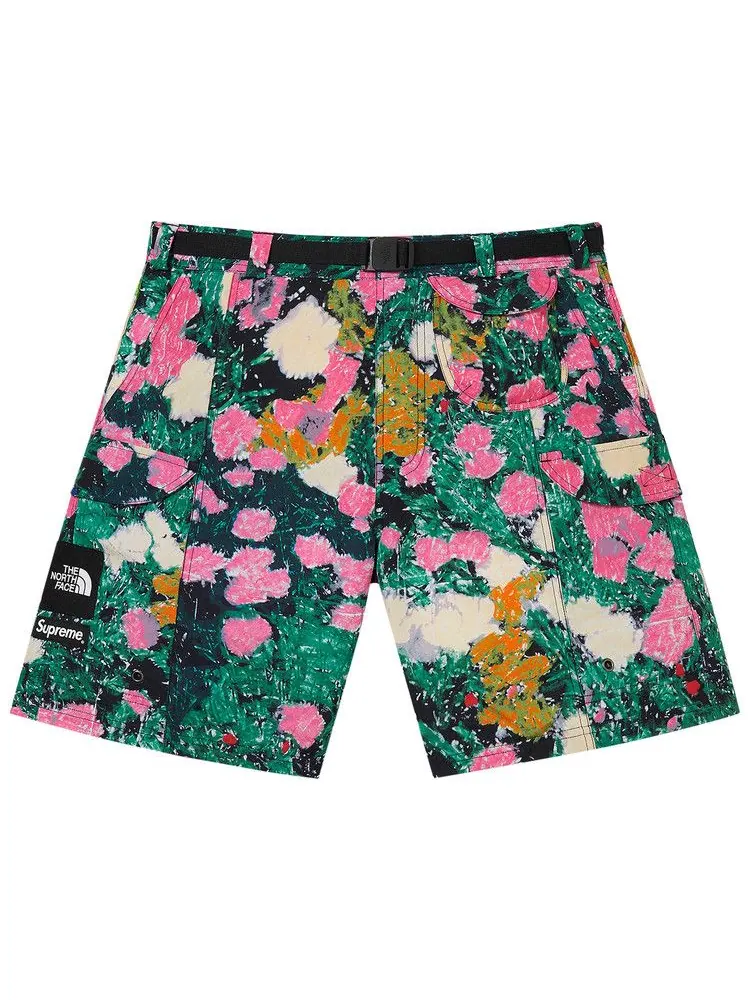 Шорты Supreme x The North Face Trekking Packable Belted Short, Flowers — изображение 1 из 2, мульти