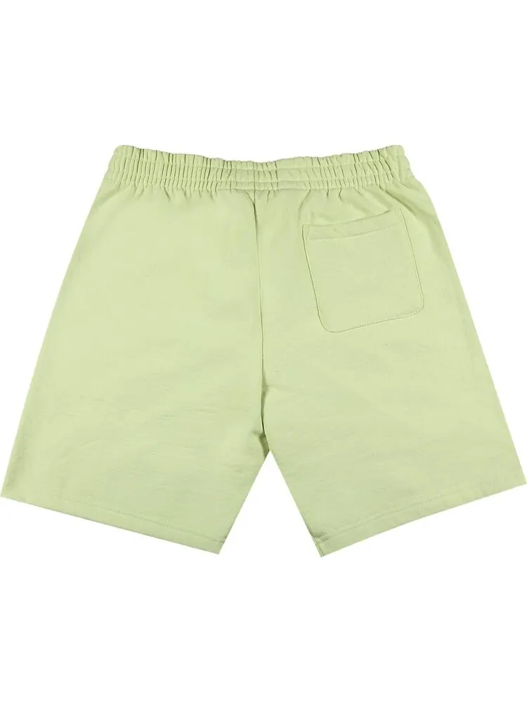 Спортивные шорты Supreme Small Box Sweatshort 'Pale Green' — изображение 2 из 3, зеленый