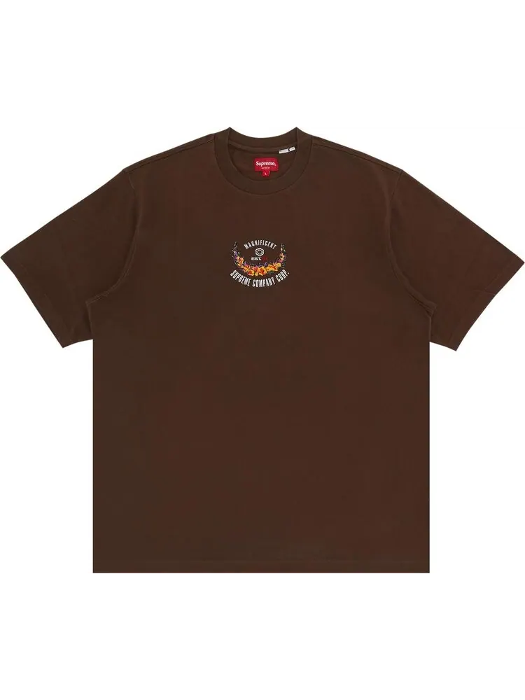 Футболка Supreme Victory Short-Sleeve Top 'Brown' — изображение 1 из 3, коричневый