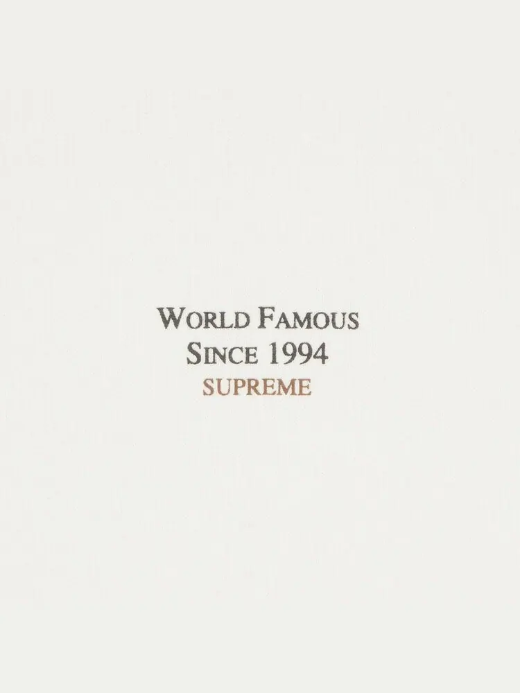 Толстовка Supreme World Famous Micro Hooded Sweatshirt 'White' — изображение 2 из 2, белый