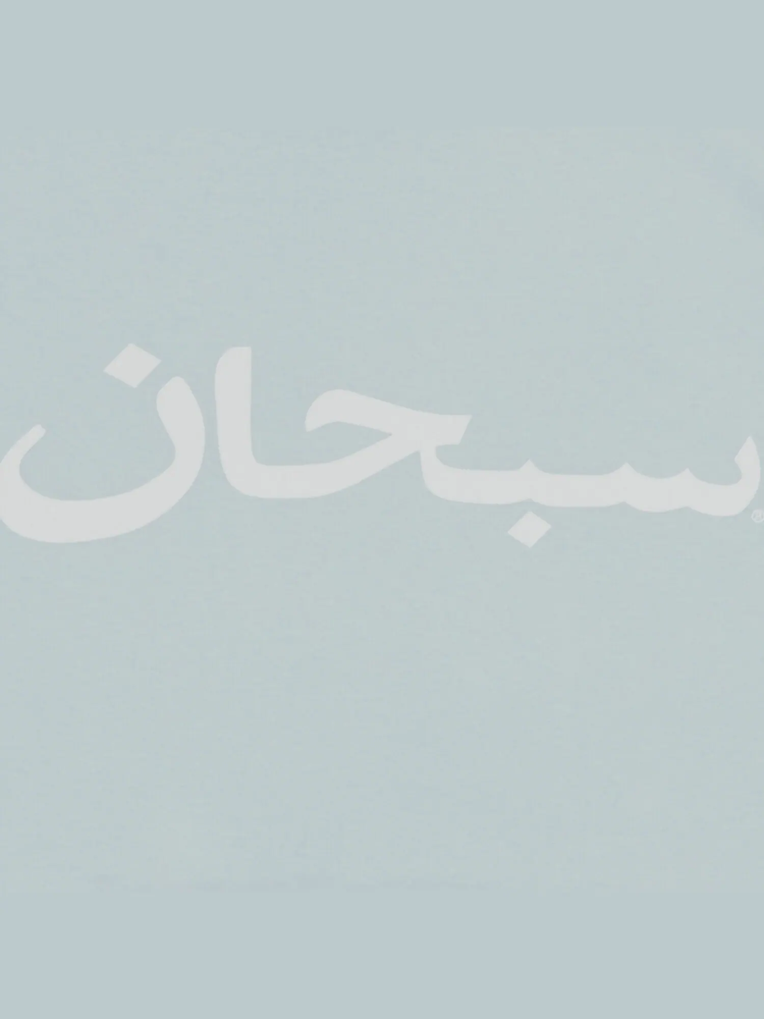 Футболка с логотипом Supreme Arab — изображение 2 из 2, голубой