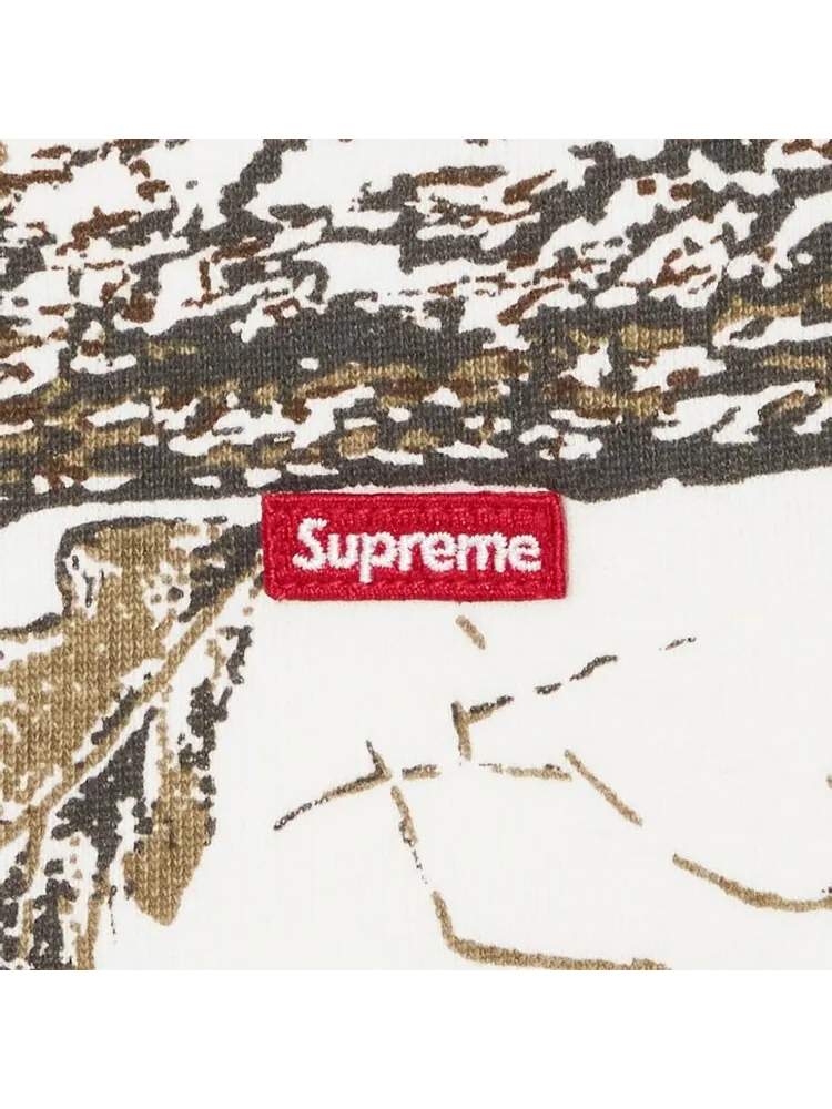 Спортивные брюки Supreme Small Box 'Snow Camo' — изображение 3 из 3, мульти