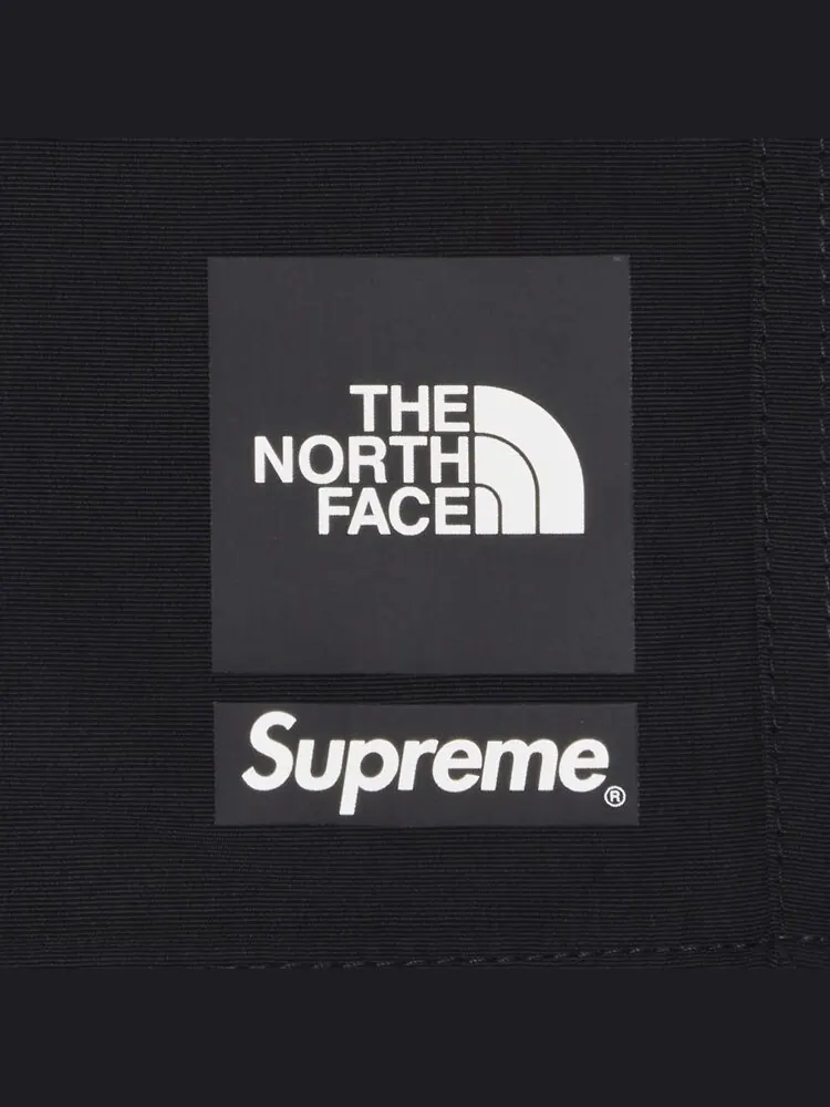 Шорты Supreme x The North Face Nylon Short — изображение 3 из 3, черный