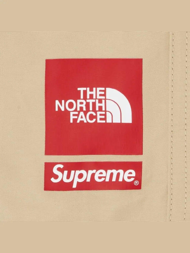 Шорты Supreme x The North Face Nylon Short — изображение 3 из 3, бежевый