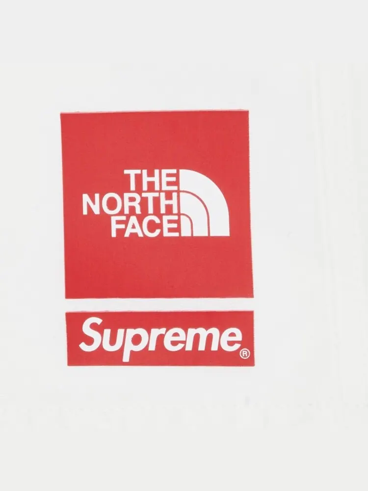 Шорты Supreme x The North Face Nylon Short — изображение 3 из 3, белый