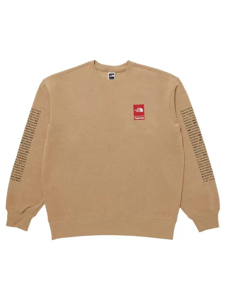 Толстовка Supreme x The North Face Crewneck — изображение 1 из 3, бежевый