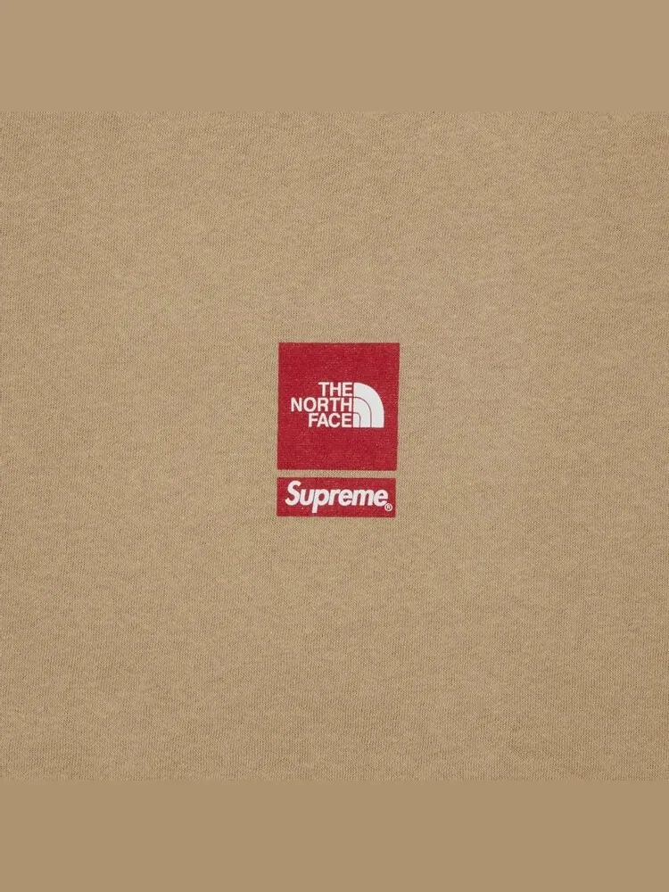 Толстовка Supreme x The North Face Crewneck — изображение 3 из 3, бежевый