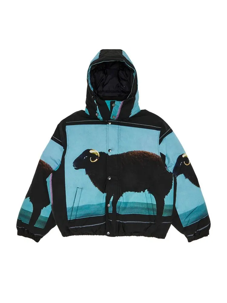 Куртка Supreme x Damien Hirst Down Puffer Jacket — изображение 1 из 3, черный