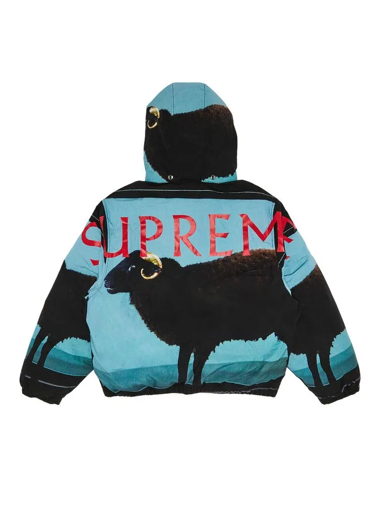 Куртка Supreme x Damien Hirst Down Puffer Jacket — изображение 2 из 3, черный
