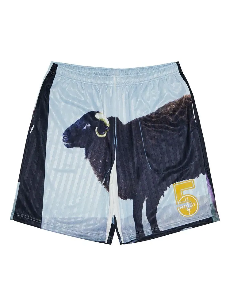 Шорты Supreme x Damien Hirst Soccer Short